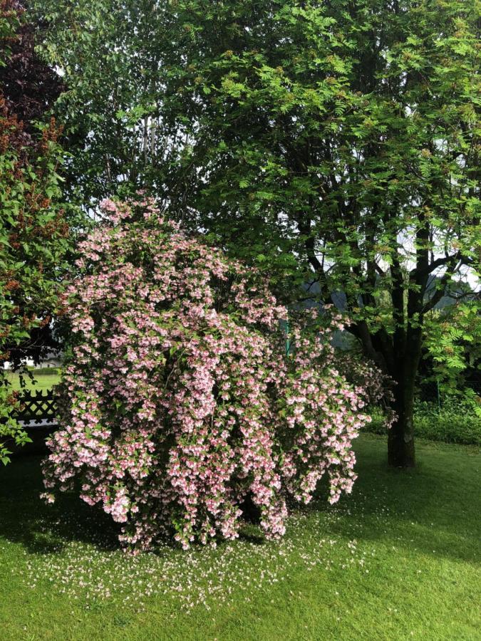 Fruehstueckspension Eichberger Pols Exterior foto